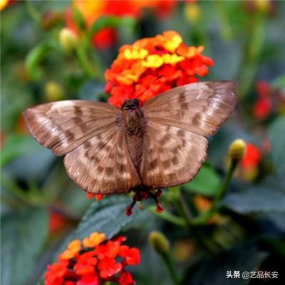 怒砍一刀破解版下载