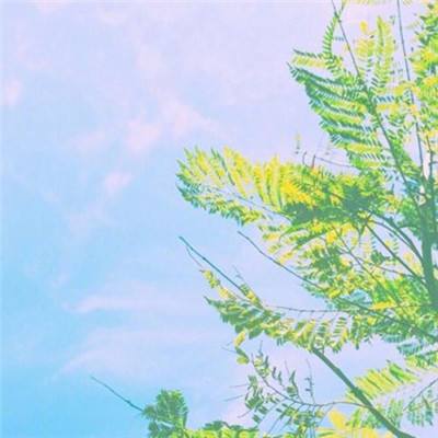 圣剑幻想手游官方下载